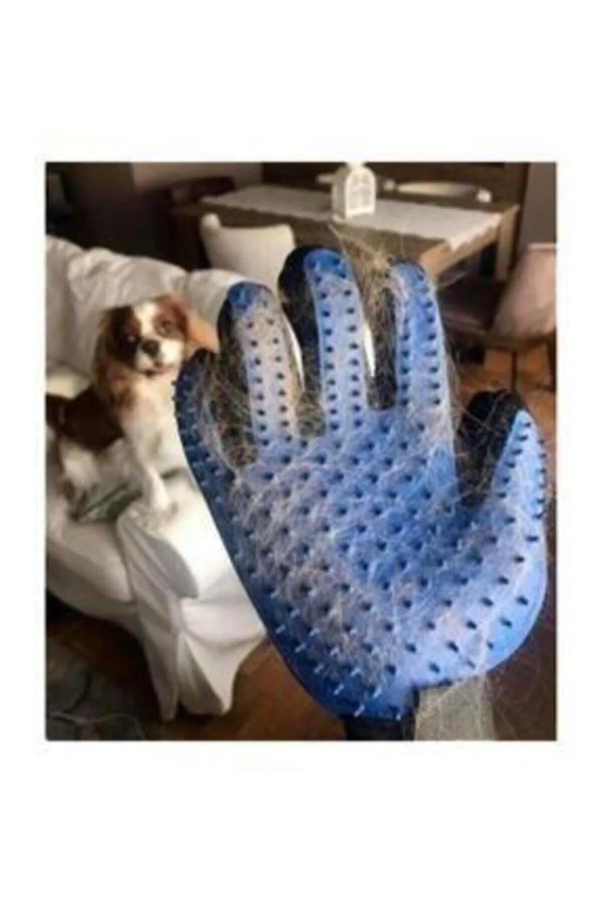 Kedi & Köpek Masaj Etkili Tüy Toplama Eldiveni Tüy Temizleyici