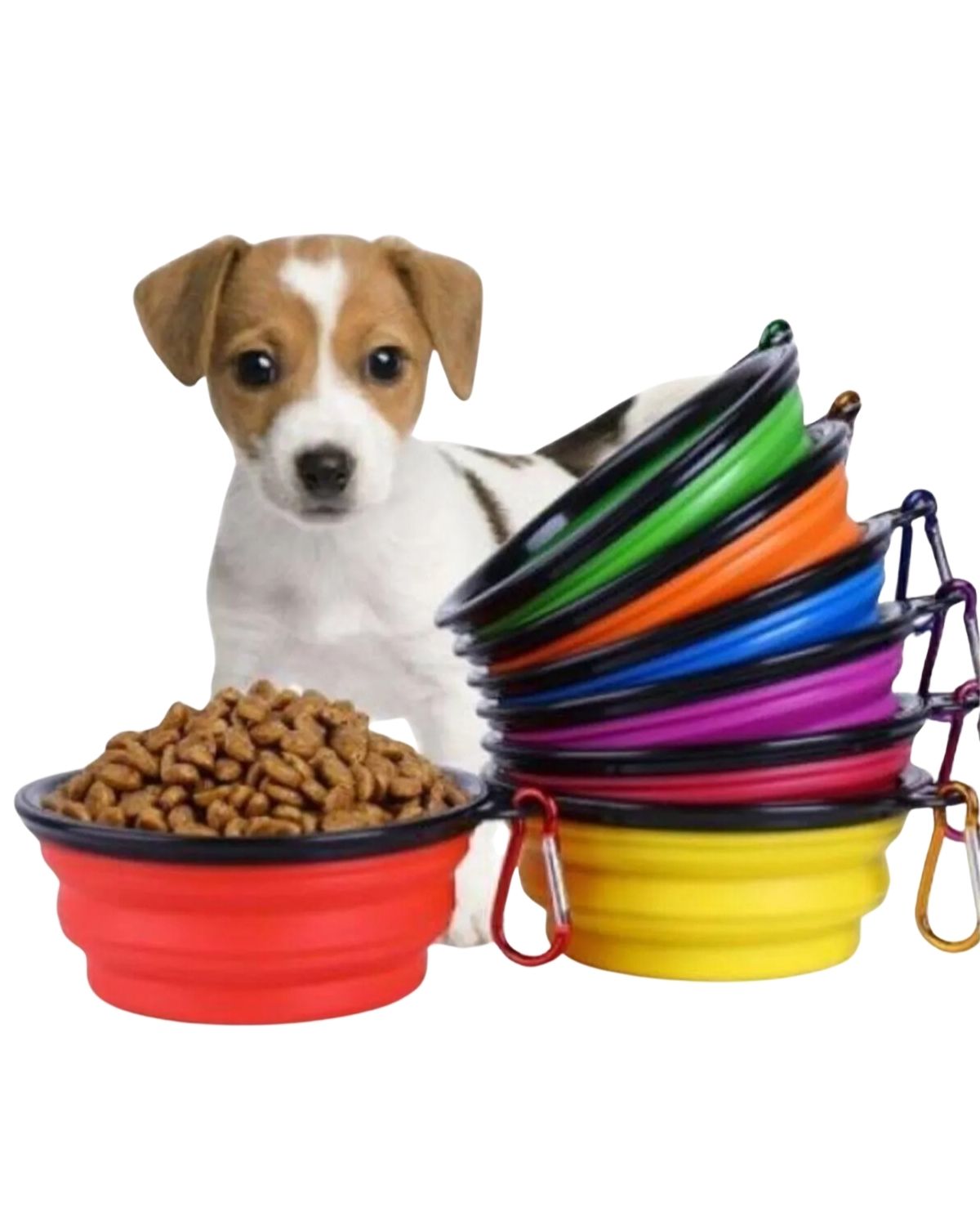 Evcil Hayvan Katlanabilir Taşınabilir Kedi Köpek Mama Su Kabı Ürün ana görseli