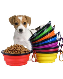 Petshop